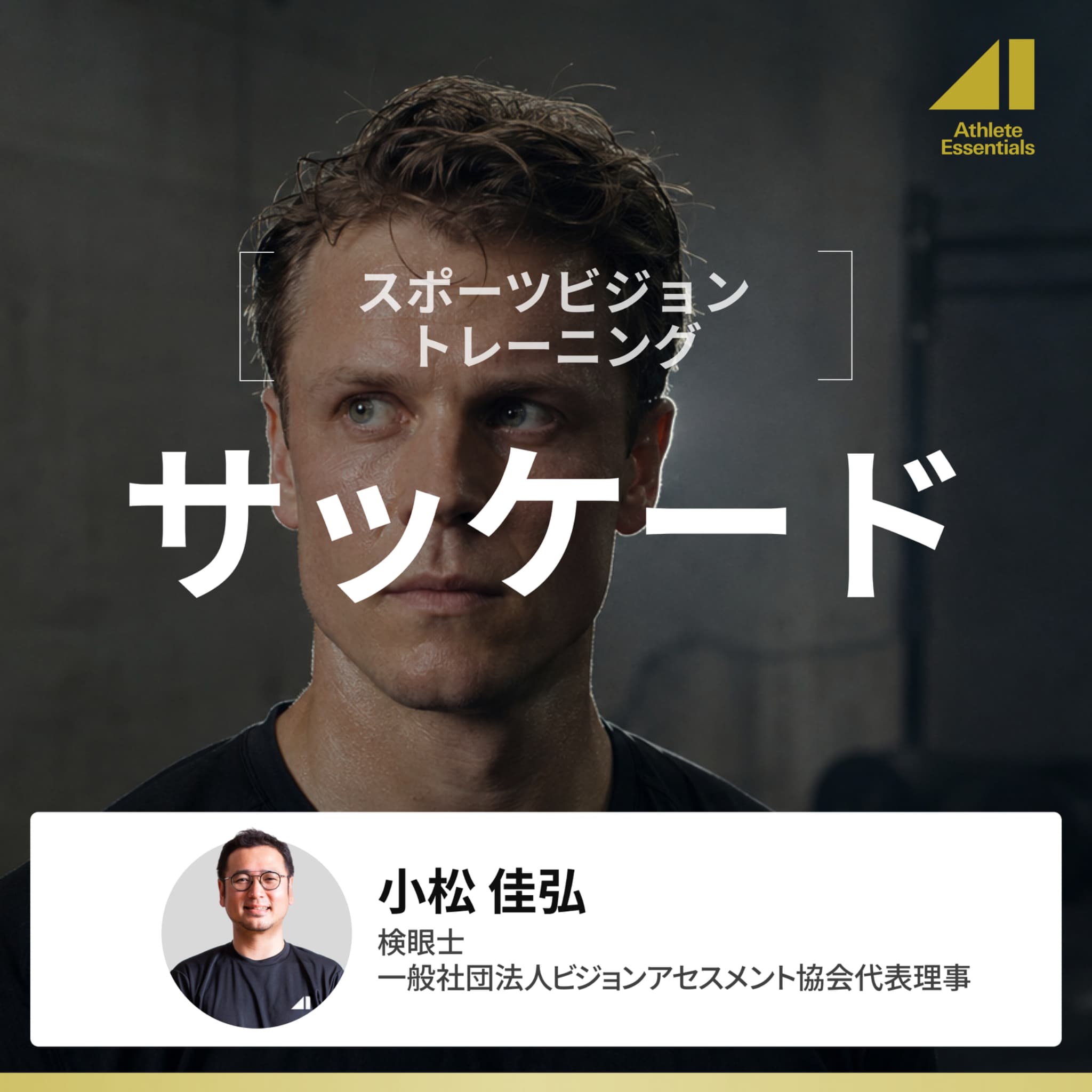 サッケードのサムネイル